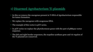 1) Disarmed Agrobacterium Ti plasmids
• In this we remove the oncogenes present in T-DNA of Agrobacterium responsible
for tumor formation.
• We replace the oncogenes with exogenous DNA.
• The example of this vector is pGV series.
• In pGV series we replace the phytohormone genes with the part of pBR322 vector
sequence.
• The left and right border sequences, the nopaline synthase gene and vir regulon of
the Ti plasmid are conserved.
 
