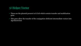 3) Helper Vector
• These are the plasmid present in E.Coli which contain transfer and mobilization
gene.
• This gene allow the transfer of the conjugation-deficient intermediate vectors into
Agrobacterium
 