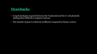 Drawbacks
• Long homologies required between the Ti plasmid and the E. coli plasmids
making them difficult to engineer and use.
• The transfer of gene is relatively inefficient compared to binary vectors.
 