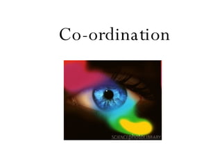 Co-ordination 