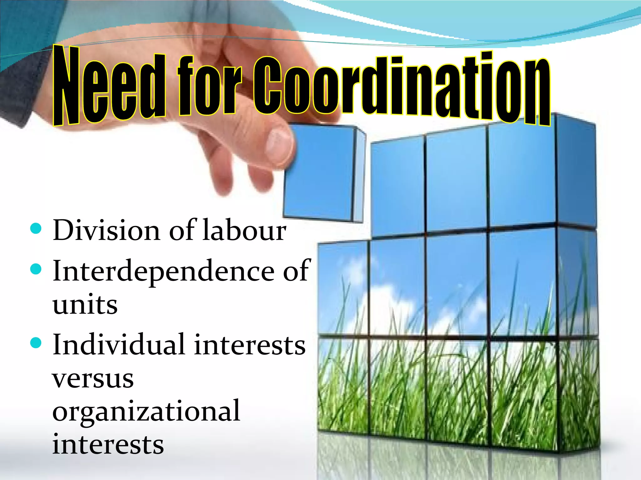 Division of labour Interdependence of units Individual interests versus organizational interests Need for Coordination 