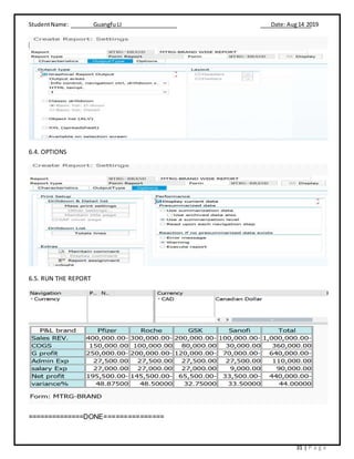 StudentName: Guangfu LI Date: Aug14 2019
31 | P a g e
6.4. OPTIONS
6.5. RUN THE REPORT
==============DONE===============
 
