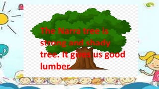 English 2 Quarter 4 This or That
These and Those
Demonstrative Pronoun
The Narra tree is
strong and shady
tree. It gives u...