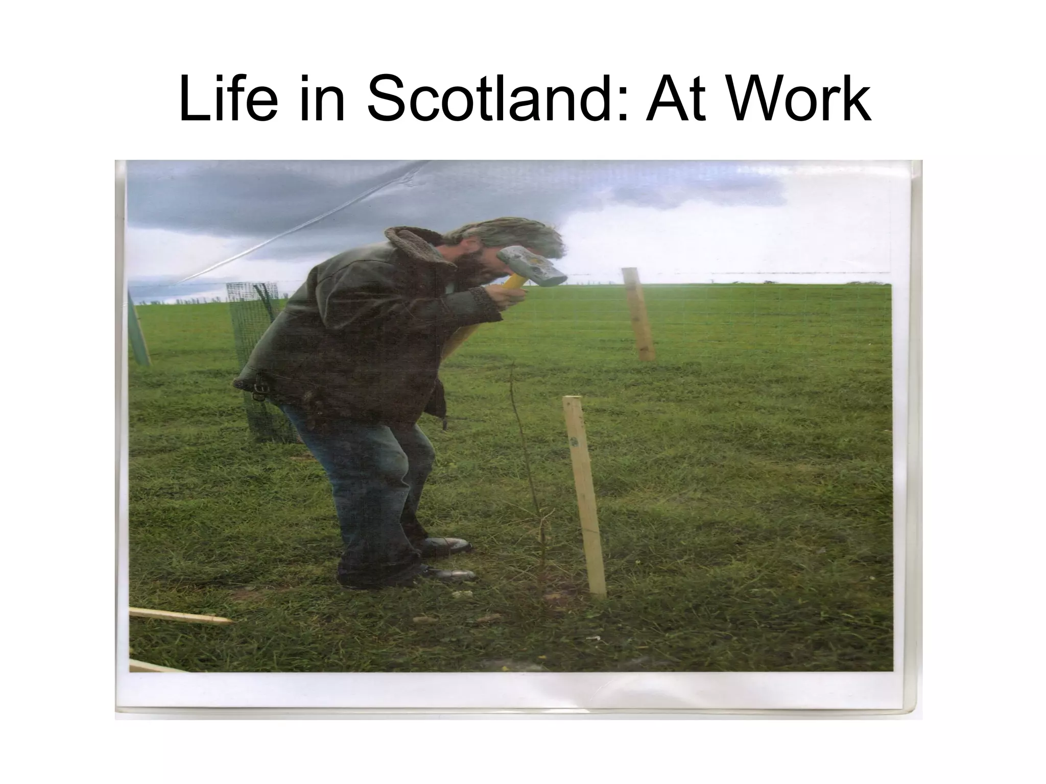 Life in Scotland: At Work
 