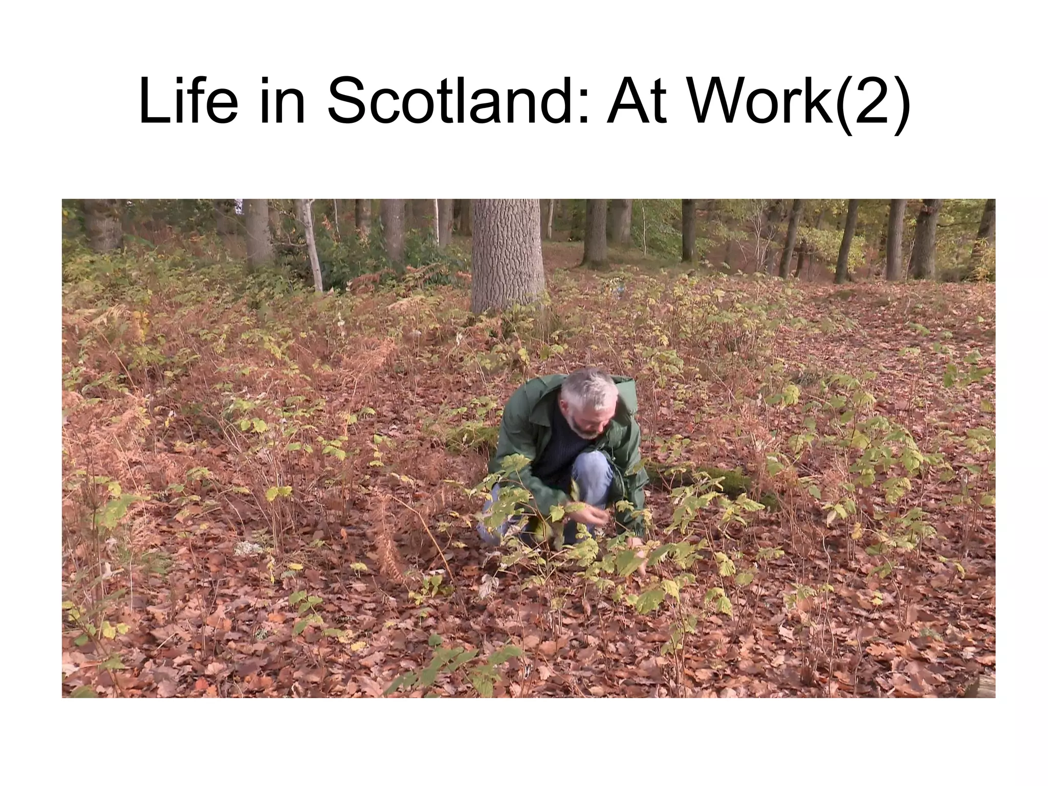 Life in Scotland: At Work(2)
 