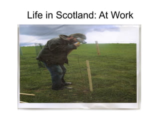 Life in Scotland: At Work
 