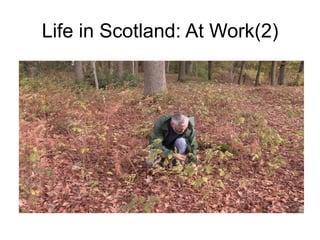 Life in Scotland: At Work(2)
 
