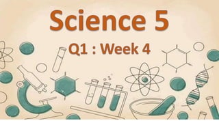 CO-SCI5 Q1 W4.pptx