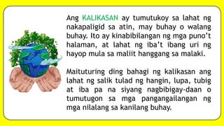 Ang KALIKASAN ay tumutukoy sa lahat ng
nakapaligid sa atin, may buhay o walang
buhay. Ito ay kinabibilangan ng mga puno’t
halaman, at lahat ng iba’t ibang uri ng
hayop mula sa maliit hanggang sa malaki.
Maituturing ding bahagi ng kalikasan ang
lahat ng salik tulad ng hangin, lupa, tubig
at iba pa na siyang nagbibigay-daan o
tumutugon sa mga pangangailangan ng
mga nilalang sa kanilang buhay.
 