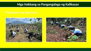  Pagtatanim ng mga puno.
Mga Hakbang sa Pangangalaga ng Kalikasan
 