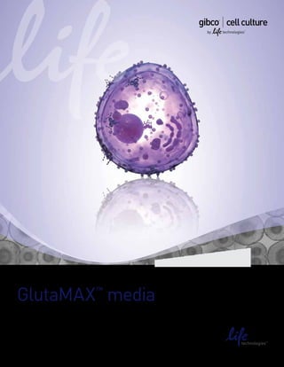 PRODUCT IMAGE




GlutaMAX media  ™

healthier cells live longer
 
