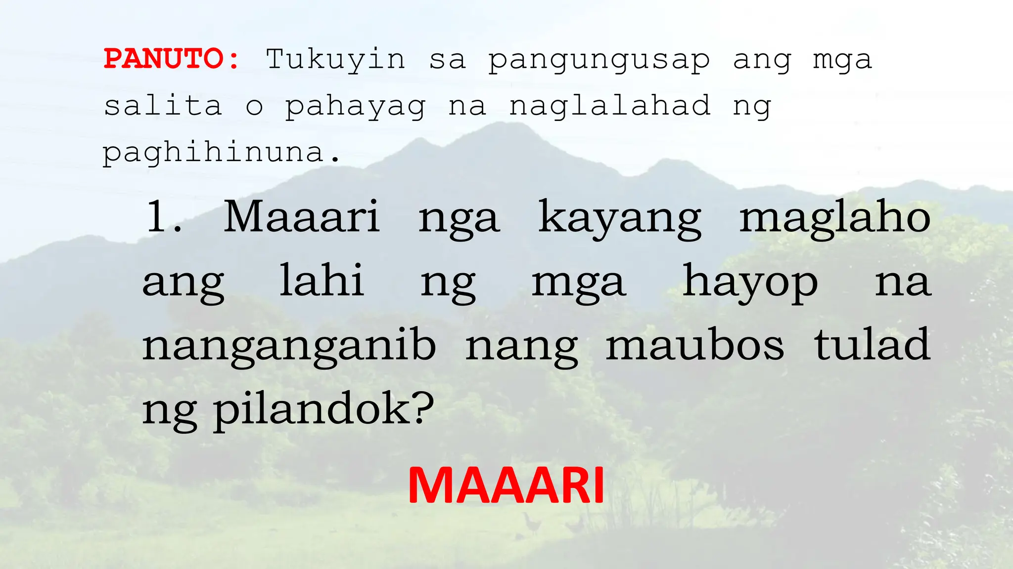 Onlayn porno sn gurochek tomosha qiling