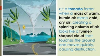 👉 A tornado forms
when a mass of warm,
humid air meets cold,
dry air, creating a
spinning column of air.
looks like a funnel-
shaped cloud that
touches the ground
and moves quickly,
causing destruction.
 