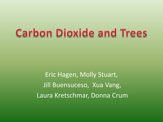 Eric Hagen, Molly Stuart,  Jill Buensuceso, XuaVang,  Laura Kretschmar, Donna Crum Carbon Dioxide and Trees  