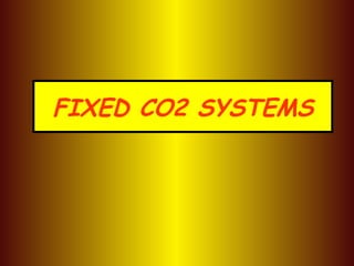 FIXED CO2 SYSTEMS 