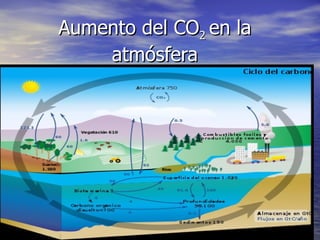 Aumento del CO 2  en la atmósfera 