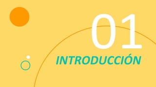 INTRODUCCIÓN
 