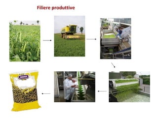 Filiere produttive 