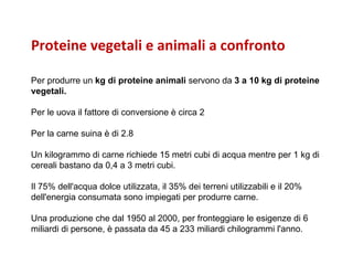 Proteine vegetali e animali a confronto Per produrre un  kg di proteine animali  servono da  3 a 10 kg di proteine vegetali.  Per le uova il fattore di conversione è circa 2  Per la carne suina è di 2.8 Un kilogrammo di carne richiede 15 metri cubi di acqua mentre per 1 kg di cereali bastano da 0,4 a 3 metri cubi.  Il 75% dell'acqua dolce utilizzata, il 35% dei terreni utilizzabili e il 20% dell'energia consumata sono impiegati per produrre carne.  Una produzione che dal 1950 al 2000, per fronteggiare le esigenze di 6 miliardi di persone, è passata da 45 a 233 miliardi chilogrammi l'anno.  