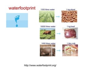 http://www.waterfootprint.org/ waterfootprint 