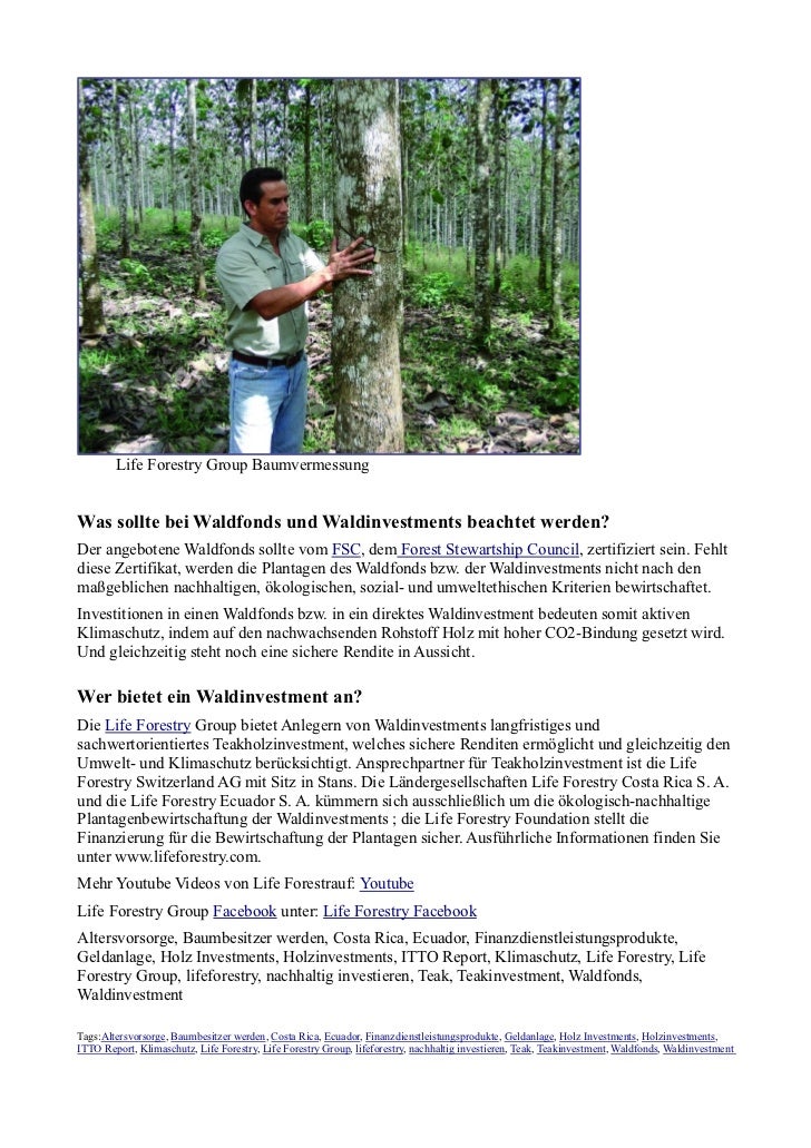 Life Forestry Group Co2 Bindung Mit Hilfe Eines Waldfonds Oder Waldi