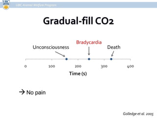 UBC Animal Welfare Program Bradycardia Unconsciousness Death Golledge et al. 2005    No pain 