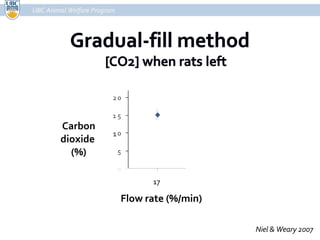 UBC Animal Welfare Program Niel & Weary 2007 17 Carbon dioxide  (%) Flow rate (%/min) 