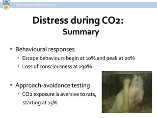 Behavioural responses Escape behaviours begin at 10% and peak at 20% Loss of consciousness at >30% Approach-avoidance testing CO2 exposure is aversive to rats, starting at 15% UBC Animal Welfare Program 
