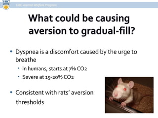 Dyspnea is a discomfort caused by the urge to breathe In humans, starts at 7% CO2 Severe at 15-20% CO2 Consistent with rats’ aversion  thresholds UBC Animal Welfare Program 