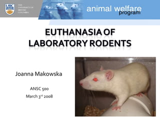 Joanna Makowska UBC Animal Welfare Program ANSC 500 March 3 rd  2008 