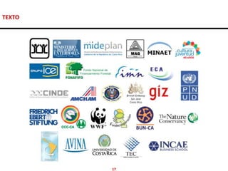 TEXTO




        17
 