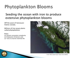 Carbon Sinks a graph from the University of East Anglia