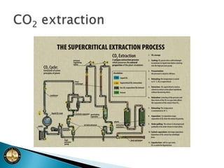 2007 EmissionsPer Capita