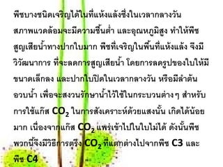 พืชบางชนิดเจริญได้ ในที่แห้ งแล้ งซึ่งในเวลากลางวัน
สภาพแวดล้อมจะมีความชืนต่า และอุณหภมสูง ทาให้พช
                         ้ ํ                   ู ิ ํ        ื
สูญเสียนําทางปากใบมาก พชท่ เจริญในพนท่ แห้งแล้ง จงมี
            ้                 ื ี          ื้ ี               ึ
ววฒนาการ ท่ จะลดการสูญเสียนํา โดยการลดรูปของใบให้มี
 ิั           ี                   ้
ขนาดเลกลง และปากใบปิดในเวลากลางวน หรือมีลาต้น
          ็                                  ั        ํ
อวบนํา เพ่ ือจะสงวนรักษานําไว้ใช้ในกระบวนต่างๆ สาหรับ
      ้                     ้                             ํ
การใช้แก๊ส CO2 ในการสังเคราะห์ ด้วยแสงนัน เกิดได้ น้อย
                                                  ้
มาก เน่ ืองจากแก๊ส CO2 แพร่ เข้ าไปในใบไม่ ได้ ดังนันพืช้
พวกนีจงมีวธีการตรึง CO2 ท่ แตกต่างไปจากพช C3 และ
        ้ึ ิ                   ี                    ื
พช C4
  ื
 