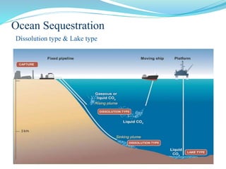 Ocean Sequestration
Dissolution type & Lake type
 