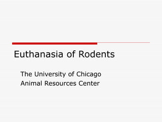 Euthanasia of Rodents The University of Chicago Animal Resources Center 