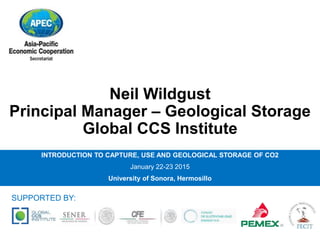 Neil Wildgust
Principal Manager – Geological Storage
Global CCS Institute
INTRODUCTION TO CAPTURE, USE AND GEOLOGICAL STORAGE OF CO2
January 22-23 2015
University of Sonora, Hermosillo
SUPPORTED BY:
 