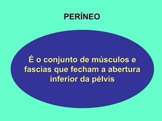 PERÍNEO
É o conjunto de músculos e
fascias que fecham a abertura
inferior da pélvis
 
