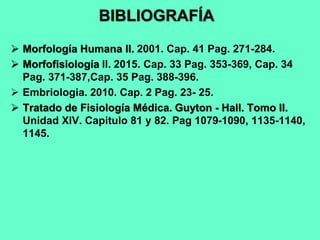 BIBLIOGRAFÍA
 Morfología Humana II. 2001. Cap. 41 Pag. 271-284.
 Morfofisiología II. 2015. Cap. 33 Pag. 353-369, Cap. 34
Pag. 371-387,Cap. 35 Pag. 388-396.
 Embriologia. 2010. Cap. 2 Pag. 23- 25.
 Tratado de Fisiología Médica. Guyton - Hall. Tomo II.
Unidad XIV. Capitulo 81 y 82. Pag 1079-1090, 1135-1140,
1145.
 