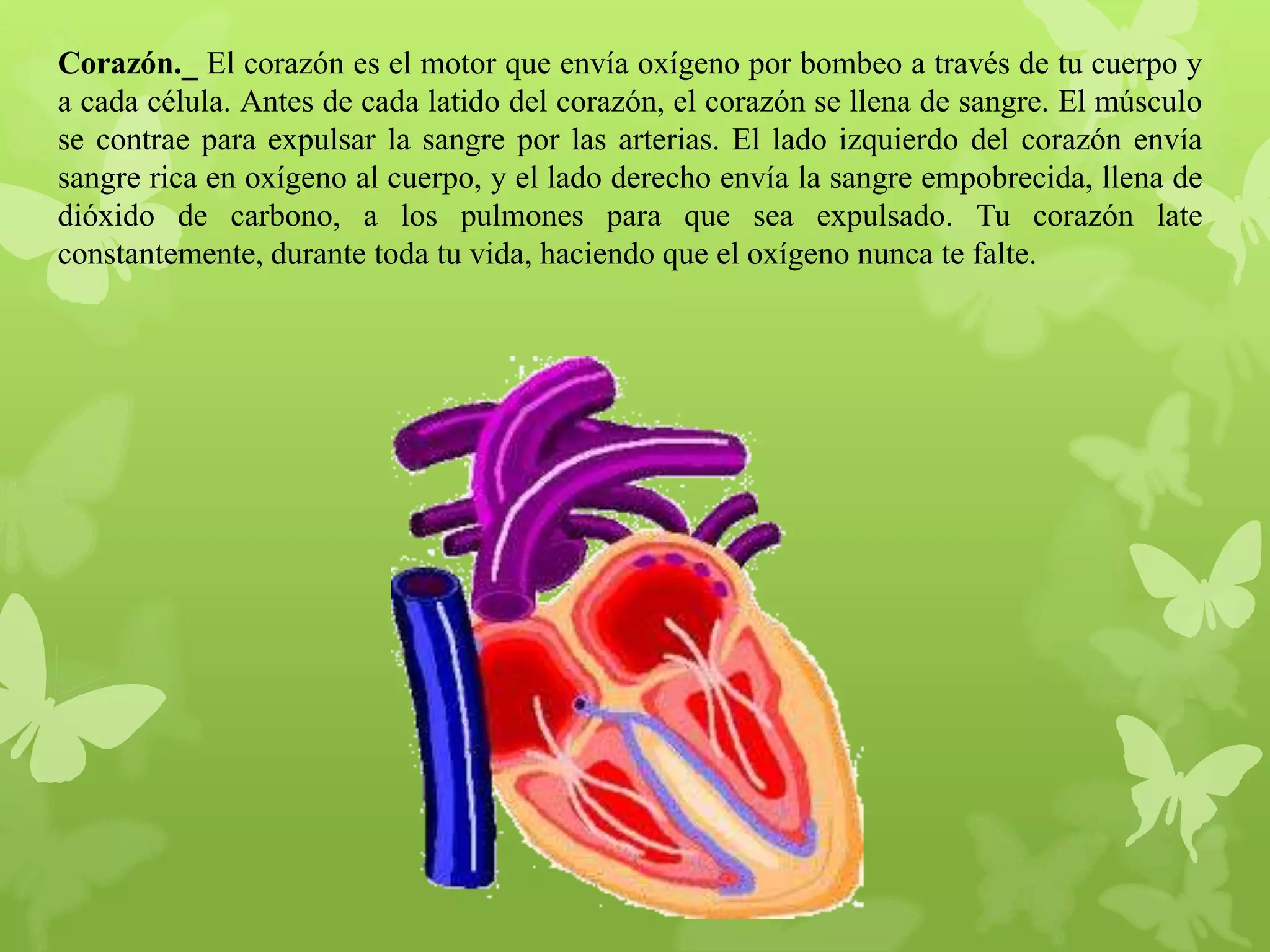 Corazón._ El corazón es el motor que envía oxígeno por bombeo a través de tu cuerpo y
a cada célula. Antes de cada latido del corazón, el corazón se llena de sangre. El músculo
se contrae para expulsar la sangre por las arterias. El lado izquierdo del corazón envía
sangre rica en oxígeno al cuerpo, y el lado derecho envía la sangre empobrecida, llena de
dióxido de carbono, a los pulmones para que sea expulsado. Tu corazón late
constantemente, durante toda tu vida, haciendo que el oxígeno nunca te falte.

 