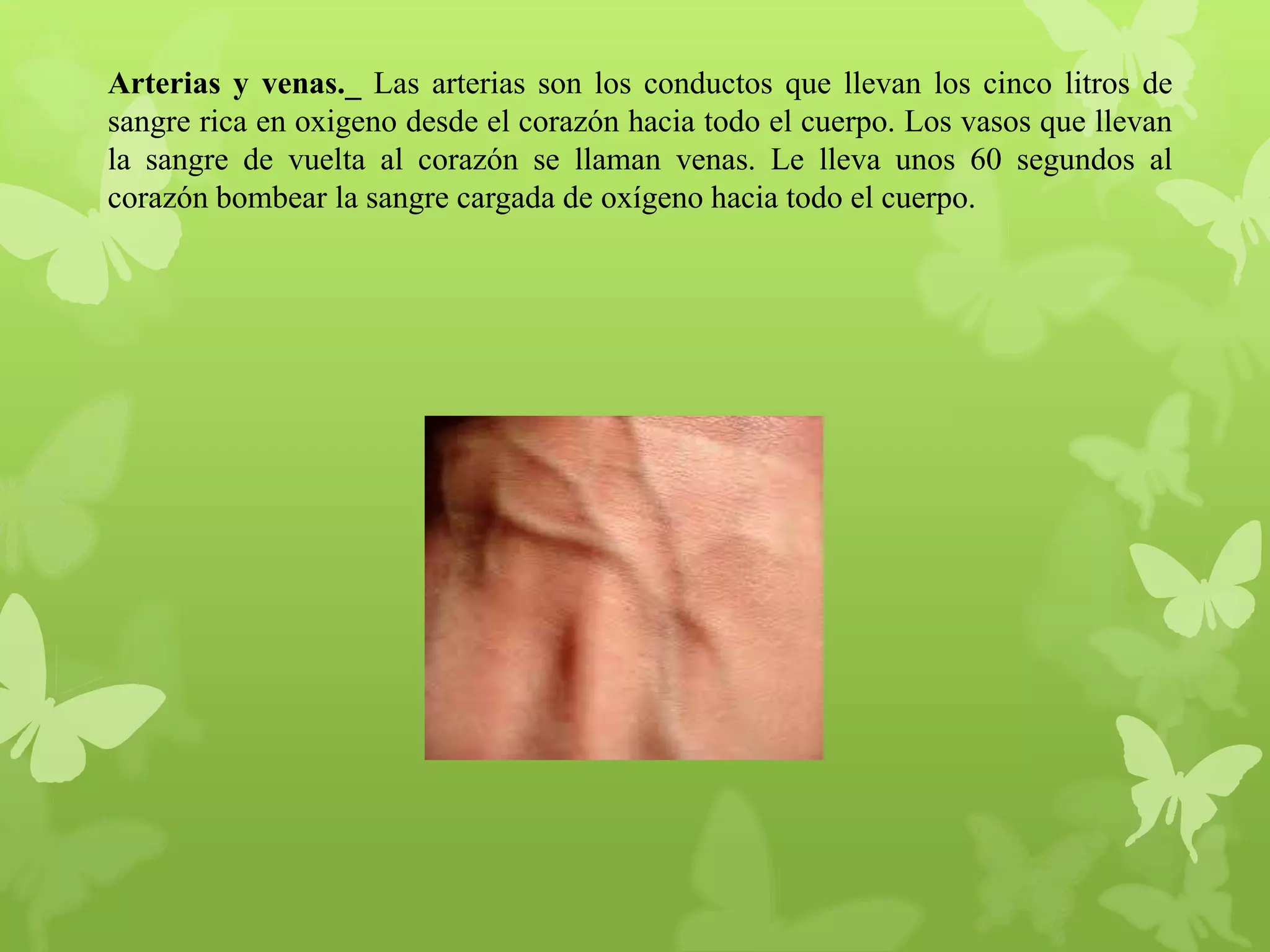 Arterias y venas._ Las arterias son los conductos que llevan los cinco litros de
sangre rica en oxigeno desde el corazón hacia todo el cuerpo. Los vasos que llevan
la sangre de vuelta al corazón se llaman venas. Le lleva unos 60 segundos al
corazón bombear la sangre cargada de oxígeno hacia todo el cuerpo.

 