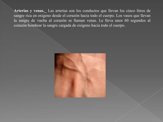 Arterias y venas._ Las arterias son los conductos que llevan los cinco litros de
sangre rica en oxigeno desde el corazón hacia todo el cuerpo. Los vasos que llevan
la sangre de vuelta al corazón se llaman venas. Le lleva unos 60 segundos al
corazón bombear la sangre cargada de oxígeno hacia todo el cuerpo.

 