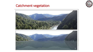 Catchment vegetation
 