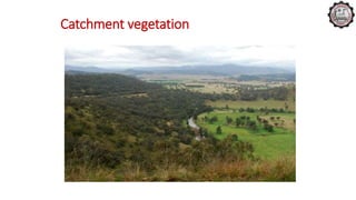 Catchment vegetation
 
