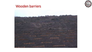 Wooden barriers
 