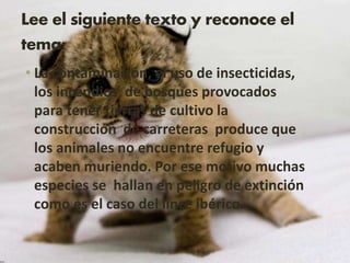 Lee el siguiente texto y reconoce el
tema:
• La contaminación, el uso de insecticidas,
los incendios de bosques provocados
para tener tierras de cultivo la
construcción de carreteras produce que
los animales no encuentre refugio y
acaben muriendo. Por ese motivo muchas
especies se hallan en peligro de extinción
como es el caso del lince ibérico.
 