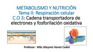 METABOLISMO Y NUTRICIÓN
Tema II: Respiración celular
C.O 3: Cadena transportadora de
electrones y fosforilación oxidativa
Profesor : MSc Gleymis Venet Cadet
 