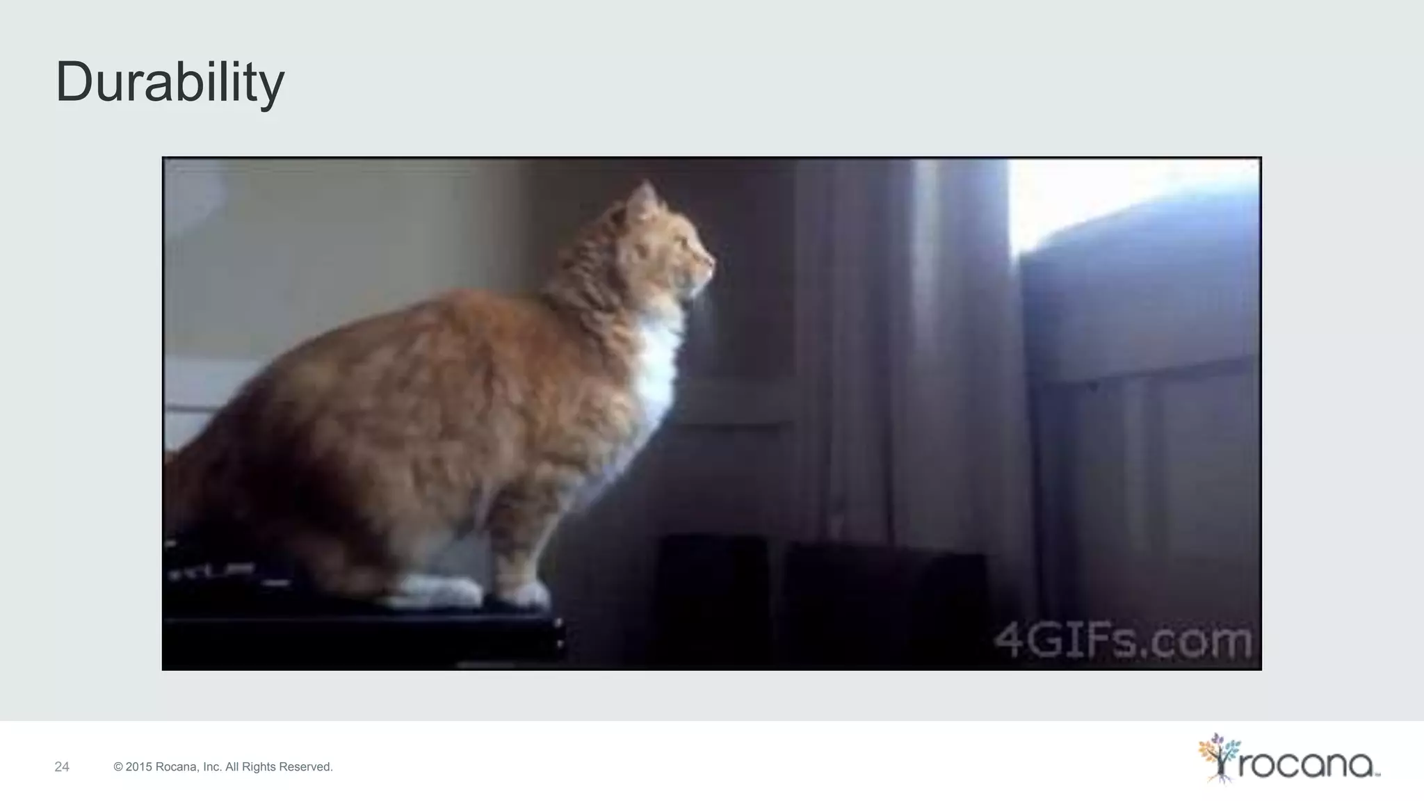 © 2015 Rocana, Inc. All Rights Reserved. Durability 24 