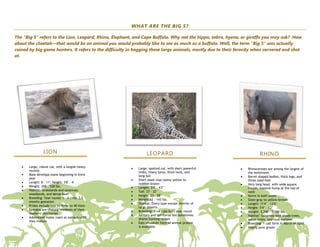 WHAT ARE THE BIG 5?

The “Big 5” refers to the Lion, Leopard, Rhino, Elephant, and Cape Buffalo. Why not the hippo, zebra, hyena, or giraffe you may ask? How
about the cheetah—that would be an animal you would probably like to see as much as a buffalo. Well, the term “Big 5” was actually
coined by big game hunters. It refers to the difficulty in bagging these large animals, mostly due to their ferocity when cornered and shot
at.




                LION                                             LEOPARD                                                 RHINO

       Large, robust cat, with a longish heavy              Large, spotted cat, with short powerful              Rhinoceroses are among the largest of
       muzzle                                               limbs, heavy torso, thick neck, and                  the herbivores
       Male develops mane beginning in third                long tail                                            Barrel-shaped bodies, thick legs, and
       year                                                 Short sleek coat tawny yellow to                     three-toed feet
       Length: 8 – 11'; Height: 3'8" – 4'                   reddish brown                                        Very long head, with wide square
       Weight: 268 – 528 lbs.                               Length: 3'4" – 4'2"                                  mouth; massive hump at the top of
       Habitat: Grasslands and savannas;                    Tail: 27 – 32"                                       neck
       woodlands; and dense bush                            Height: 23 – 28"                                     Horns in both sexes
       Breeding: Year-round; 1 – 4 cubs; 3.5                Weight 62 – 143 lbs.                                 Slate-gray to yellow-brown
       months gestation
                                                            Habitat: Every type except interior of               Length: 11'4" – 13'4"
       Prides include two to three to 40 lions              large deserts                                        Height: 5'4" – 6'2"
       Females are lifelong residents of their              Breeding: 1 – 4 cubs born year-round                 Weight: 3,740 – 5,060 lbs.
       mothers’ territories
                                                            Solitary and territorial but sometimes               Habitat: Savannas with shade trees,
       Adolescent males roam as nomads until                shares hunting ranges                                water holes, and mud wallows
       they mature
                                                            Eats whatever form of animal protein                 Breeding: 1 calf form in March or April
                                                            is available                                         Nearly pure grazer
 