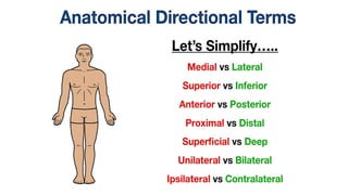 an introduction to human anatomy basics and terminology part 2 PPT